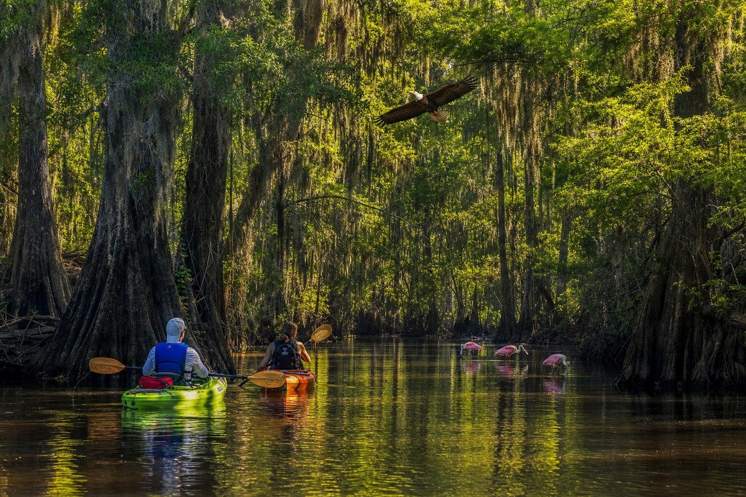 What is Pumpkin Hill Creek Preserve Jacksonville